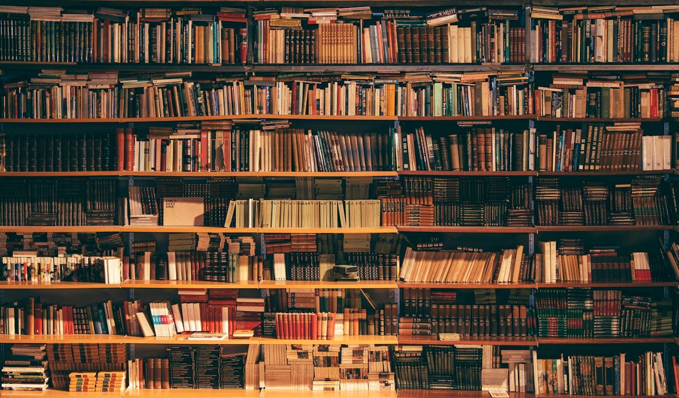 Bibliothèque en chêne montant du sol au plafond, intégrée sur-mesure