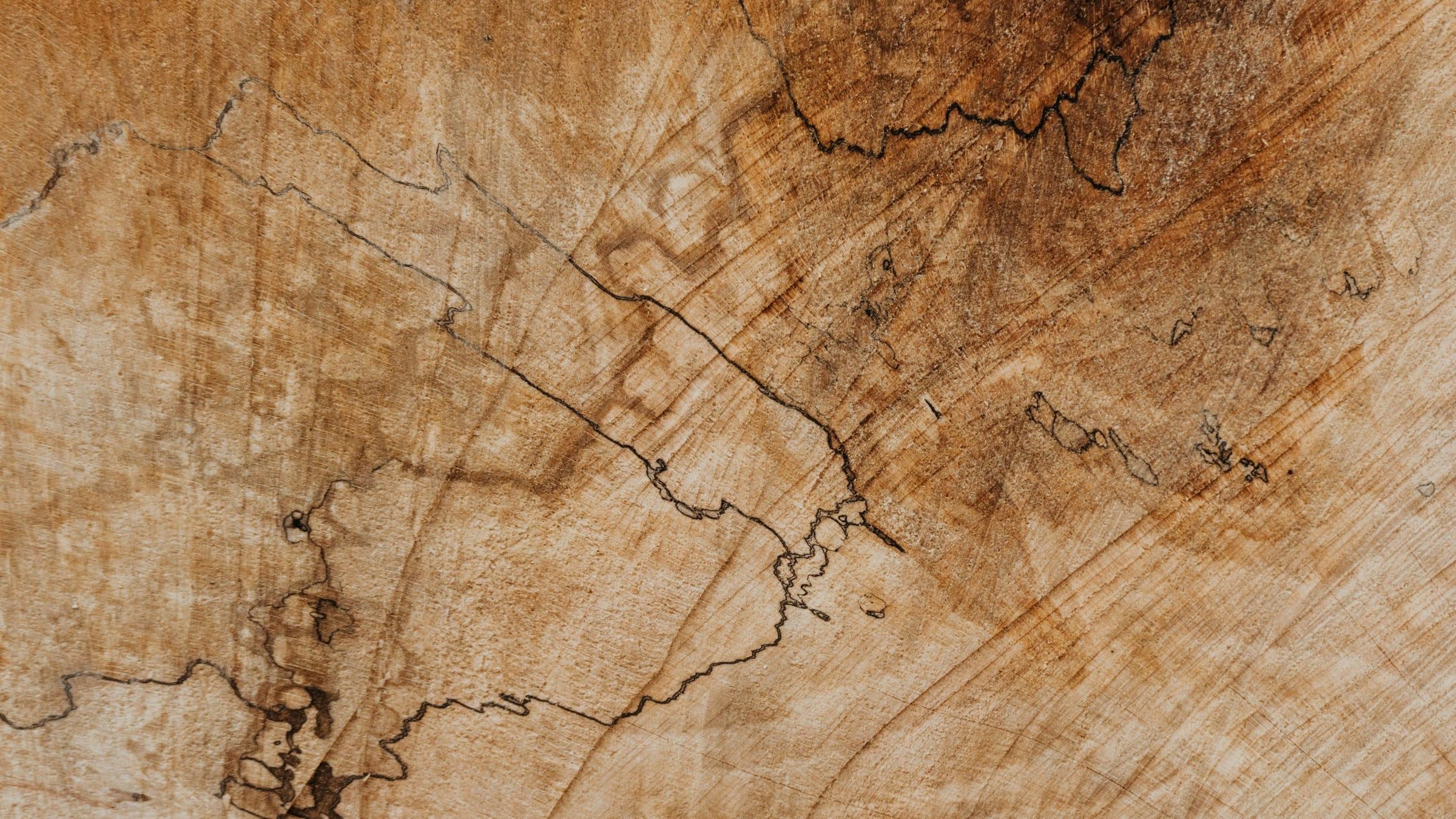 Gros plan sur le grain et la finition huilée d'une pièce de bois travaillée à l'atelier